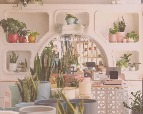 The Plant Bar