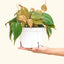 Philodendron 'Micans' (Velvet Leaf), MD