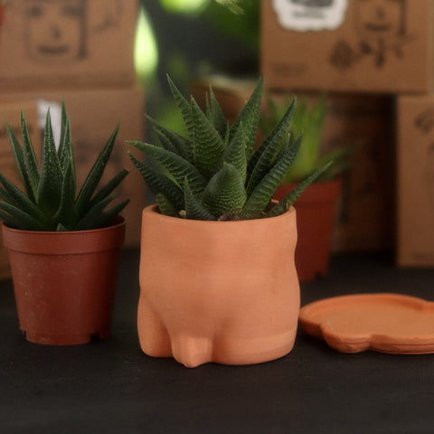 Mini Terracotta Nude Pots